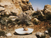 Hailey Bieber in a bath tub surrounded by desert landscape