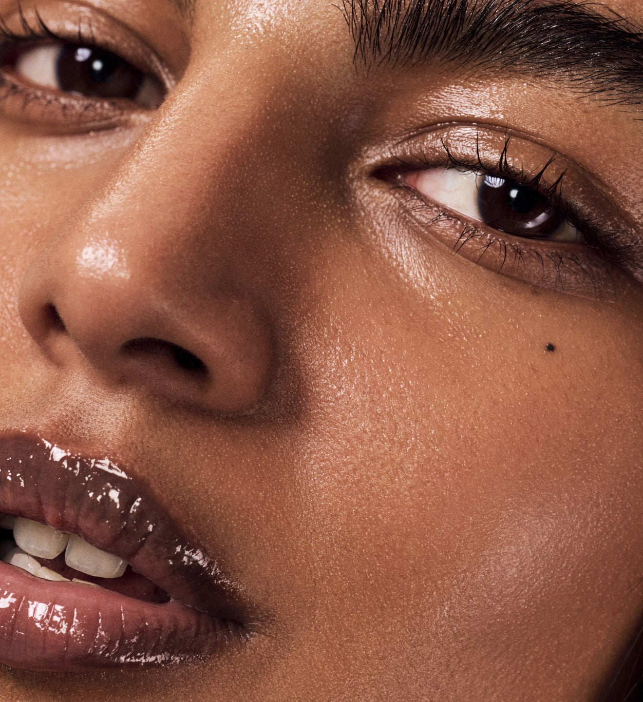Rhode close-up